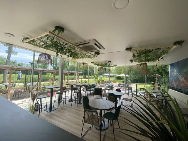 Le yucca 2
